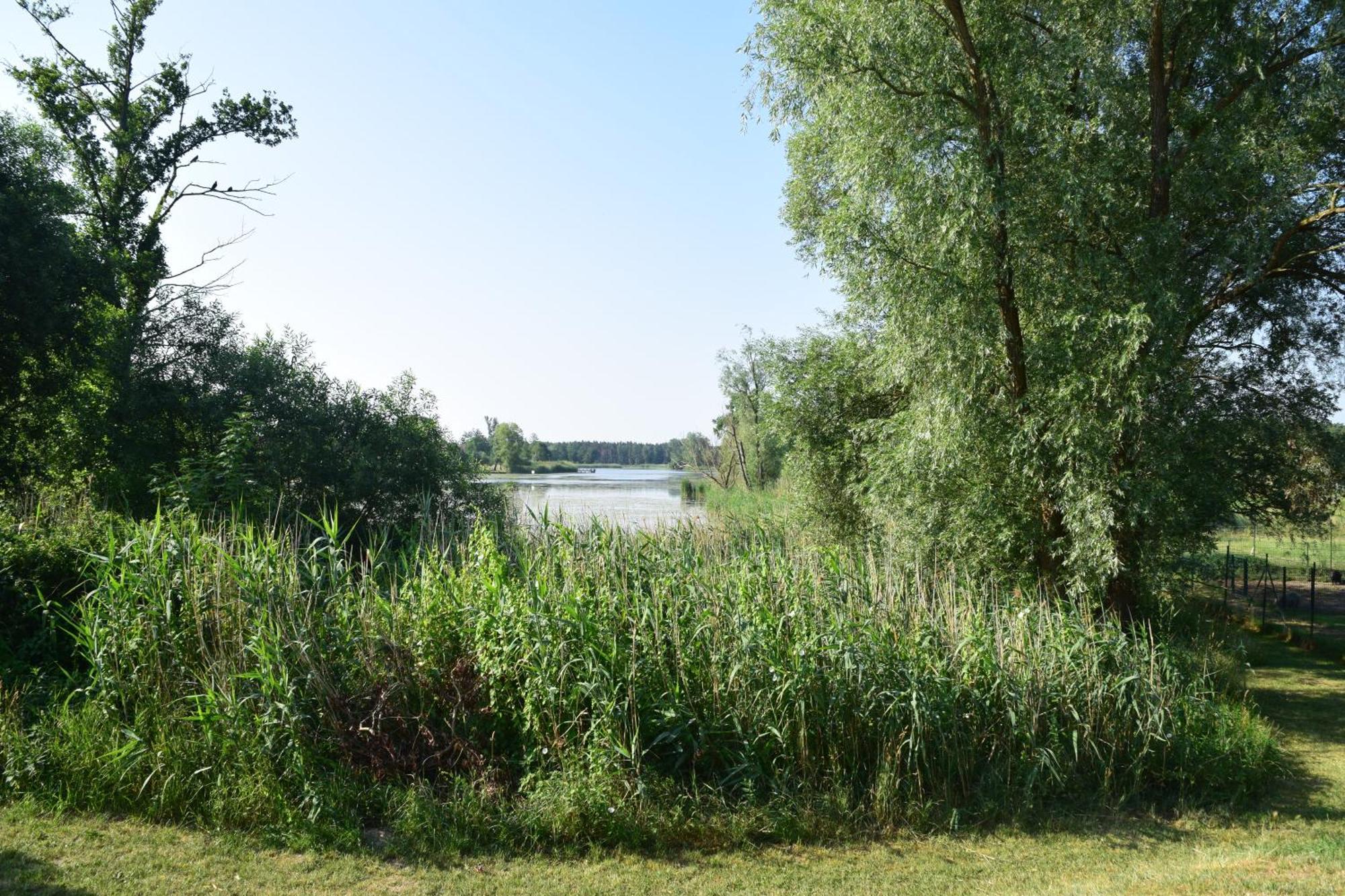 Land-Gut-Hotel Seeblick Klietz Dış mekan fotoğraf